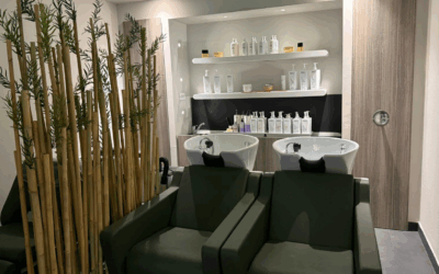 Restyling salone Modena